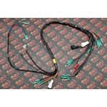 NEW Yamaha BLASTER wiring harness OEM REPLACEMENT 1997-2001 Vito's Performance 1