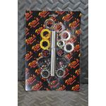 Vito's Yamaha Raptor 660 swingarm bearings rebuild kit sleeve seals 2001-2005