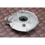Rear Brake Backing Plate + bearing Honda Fourtrax 300 TRX300 300FW 1988-20003